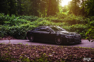 2008 Audi A5