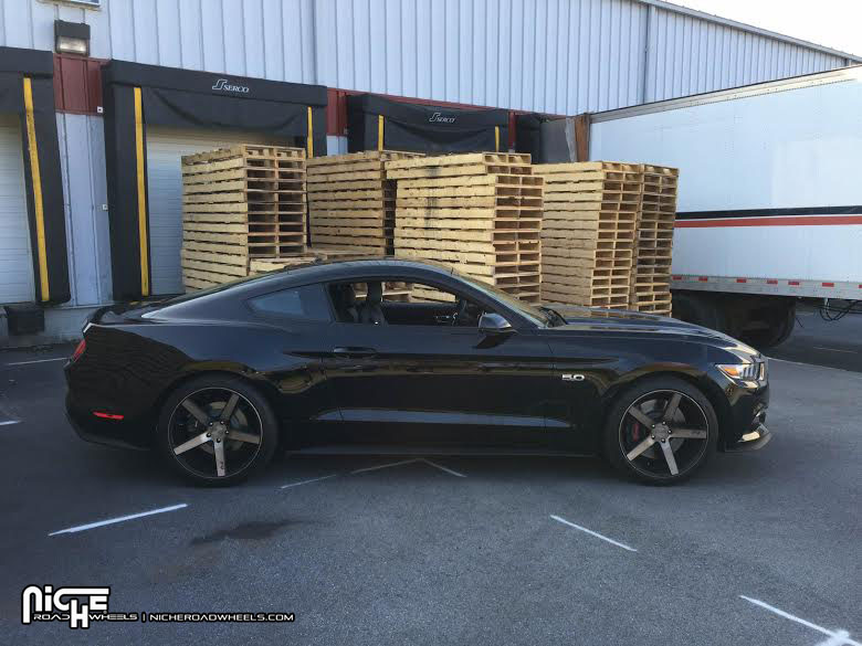 2015 Ford Mustang photo