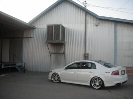 2008 Acura TL