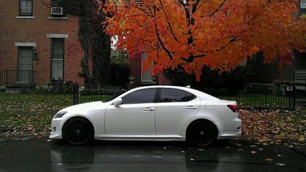 2011 Lexus IS 250 photo