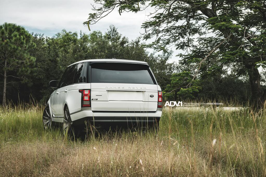 2014 Land Rover Range Rover photo