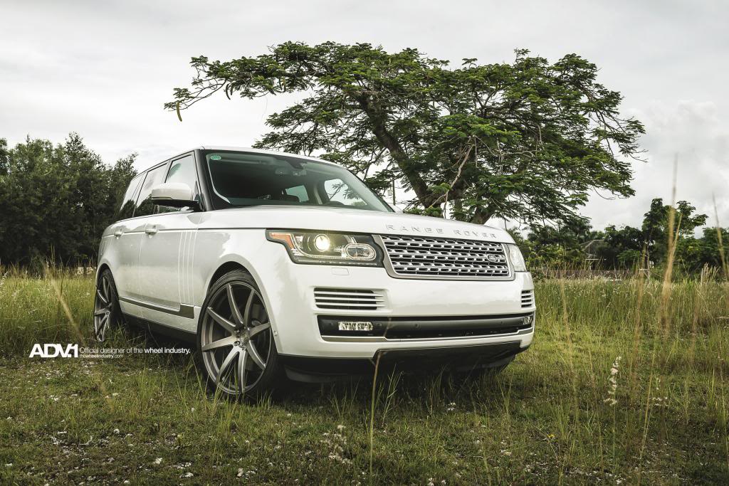 2014 Land Rover Range Rover photo