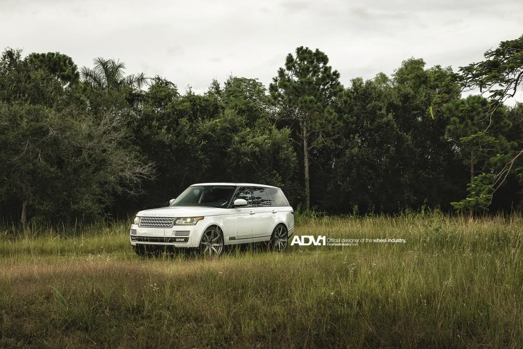 2014 Land Rover Range Rover photo