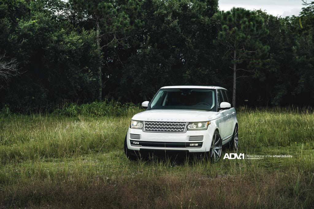2014 Land Rover Range Rover photo