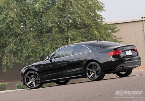2010 Audi S5