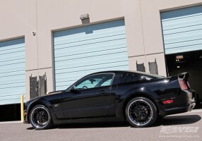2010 Ford Mustang