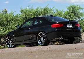 2010 BMW 335
