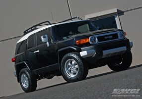 2010 Toyota FJ Cruiser