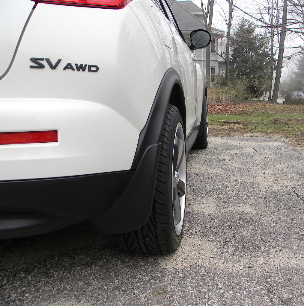 2011 Nissan Juke photo