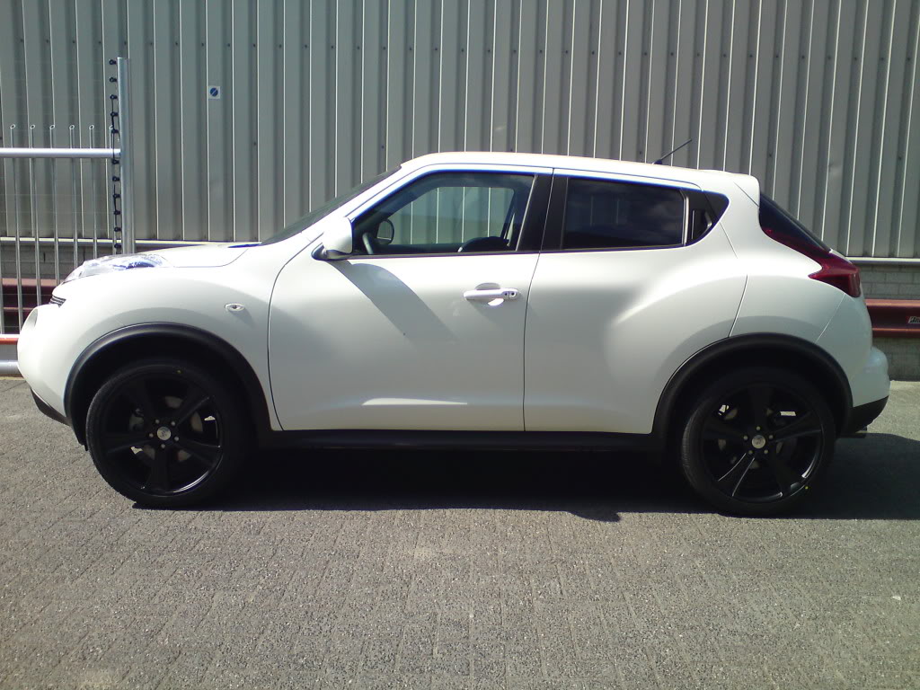 2011 Nissan Juke photo
