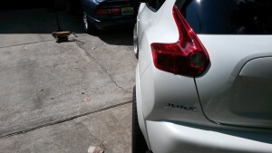 2014 Nissan Juke