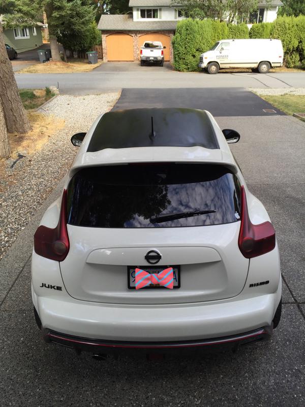 2015 Nissan Juke photo