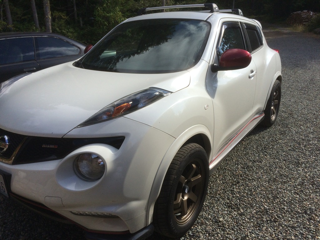 2014 Nissan Juke photo