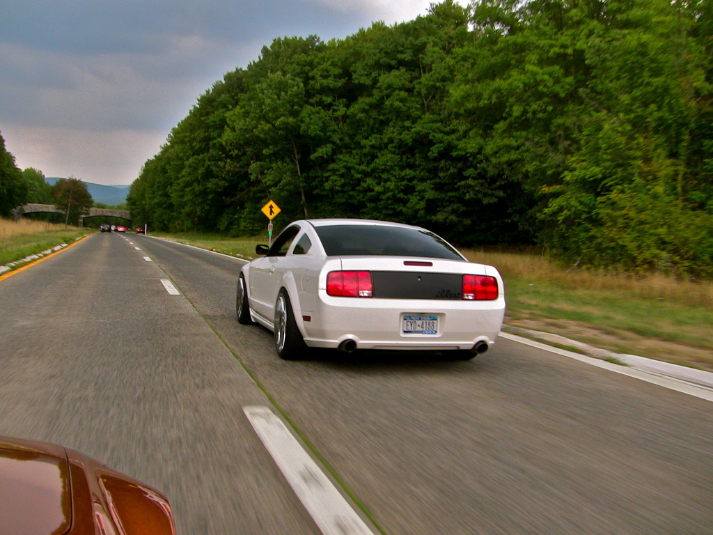 2006 Ford Mustang photo