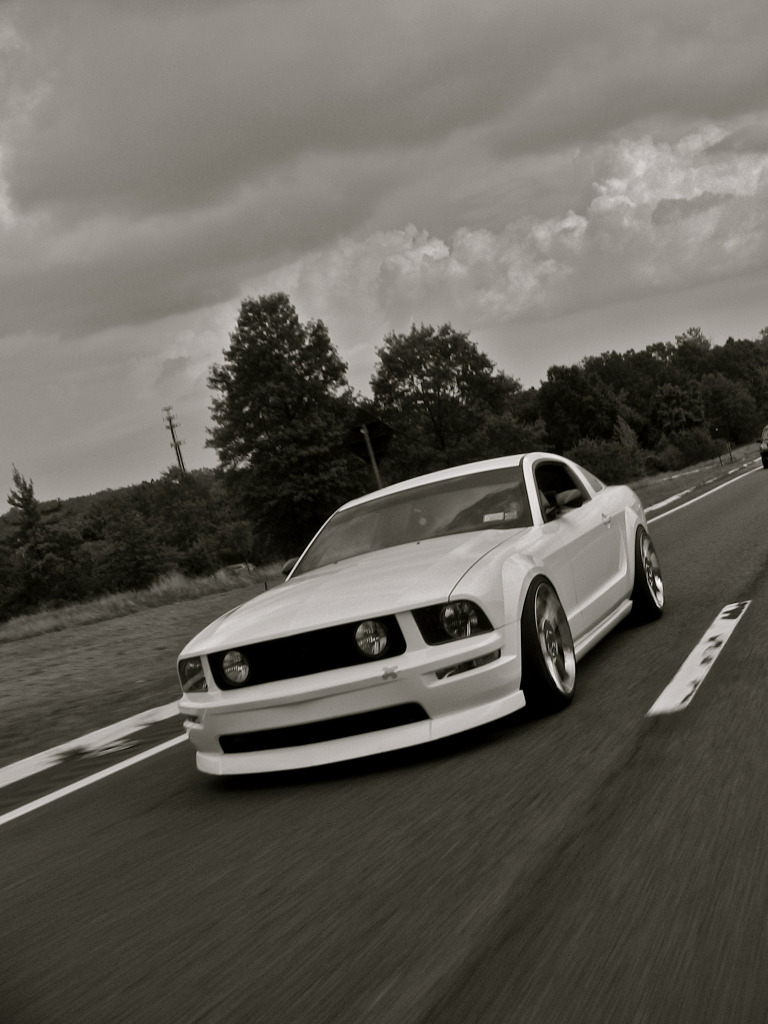 2006 Ford Mustang photo