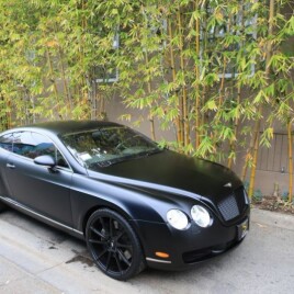 2014 Bentley Continental GT