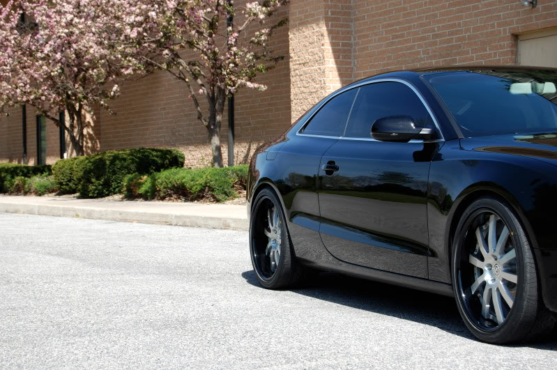 2010 Audi A5 photo
