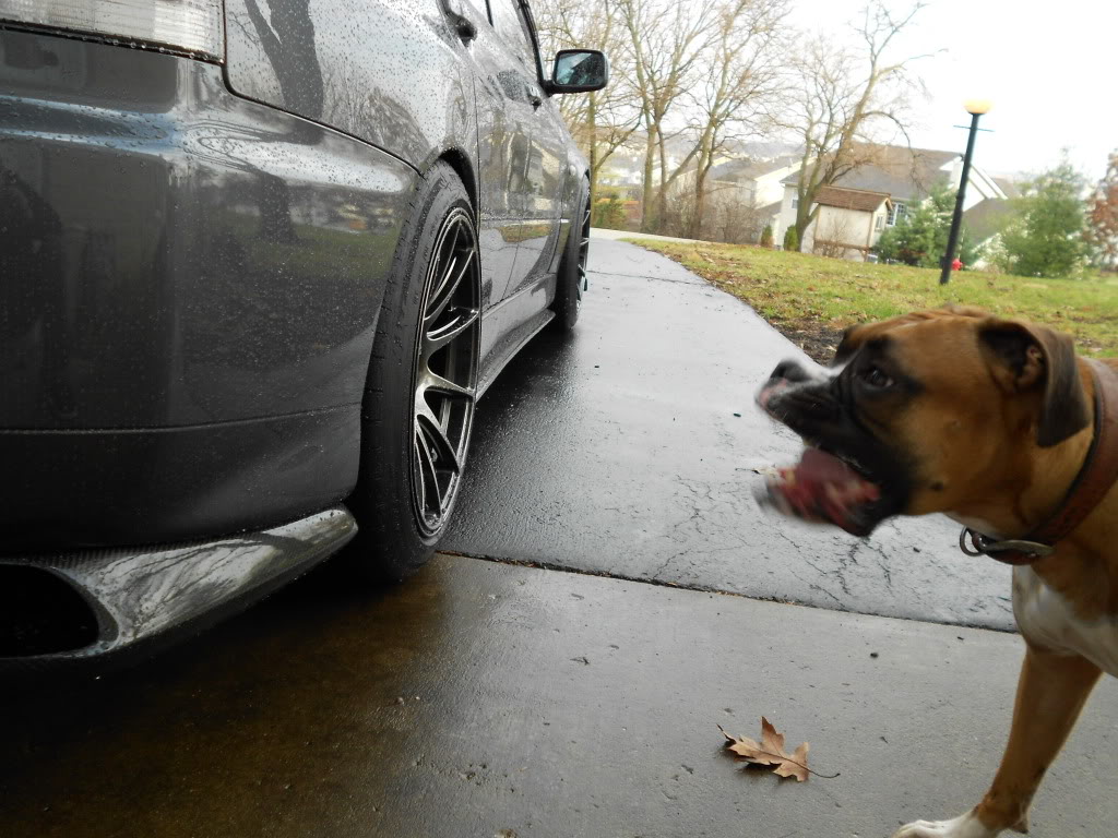 2004 Mitsubishi Lancer Evolution photo