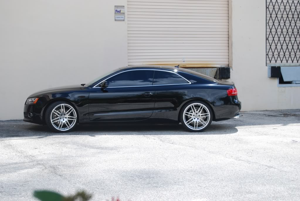 2010 Audi A5 photo