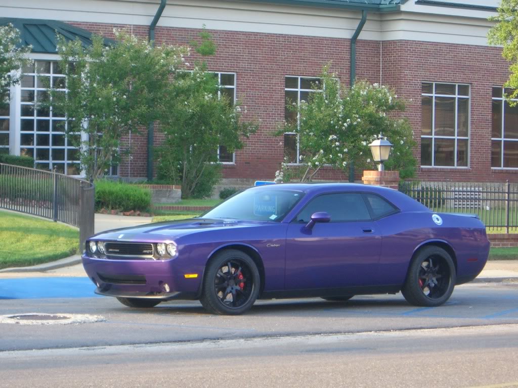 2008 Dodge Challenger photo