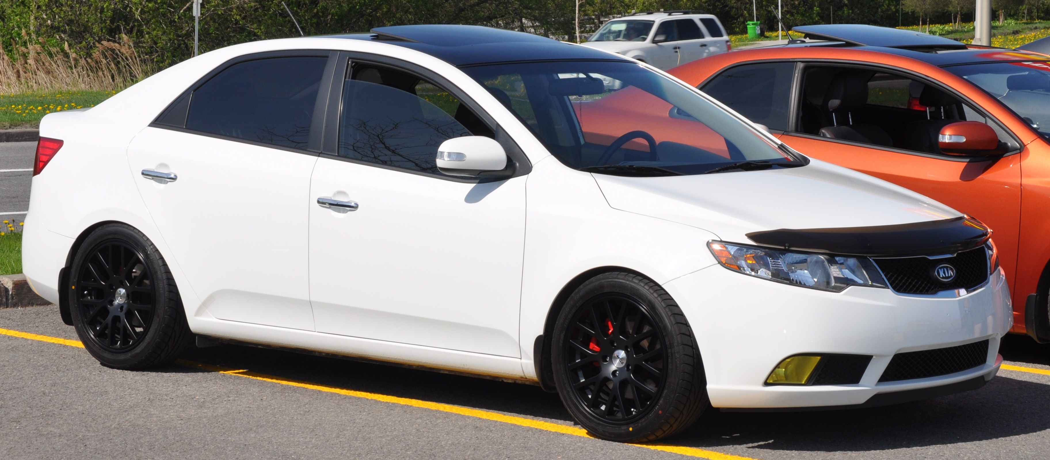 2010 Kia Forte photo