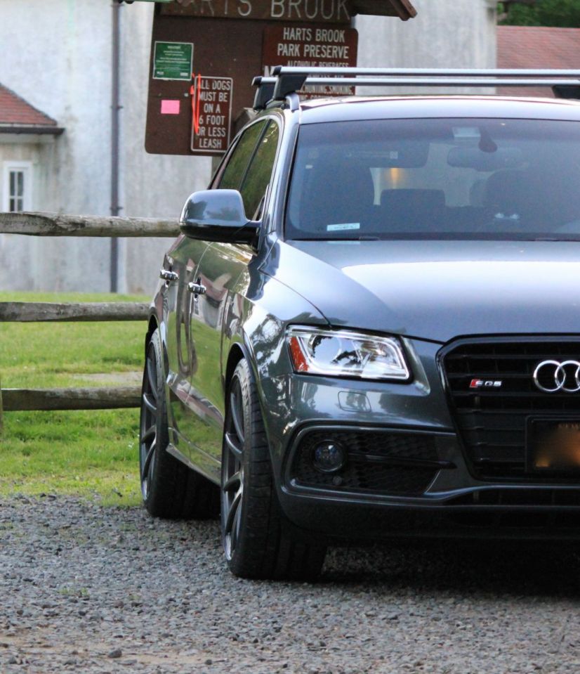 2015 Audi Q5 photo