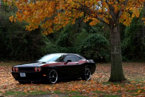 2012 Dodge Challenger