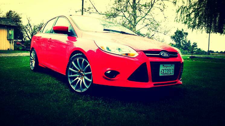 2013 Ford Focus photo