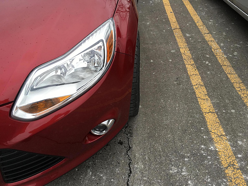 2014 Ford Focus photo