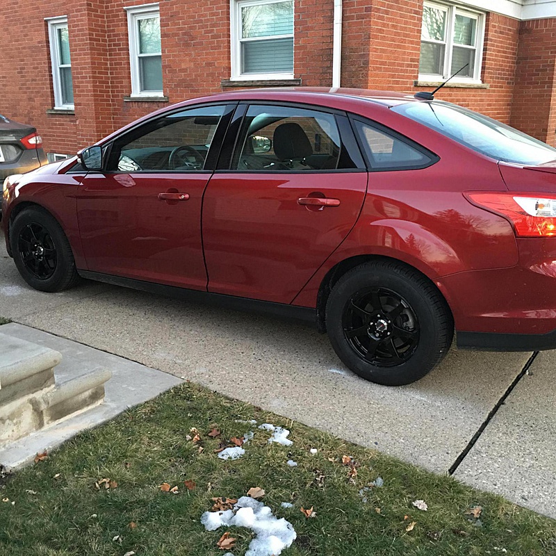 2014 Ford Focus photo