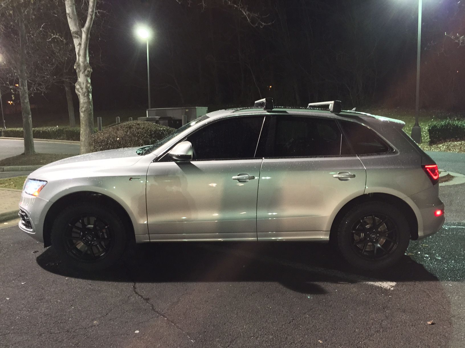 2015 Audi SQ5 photo