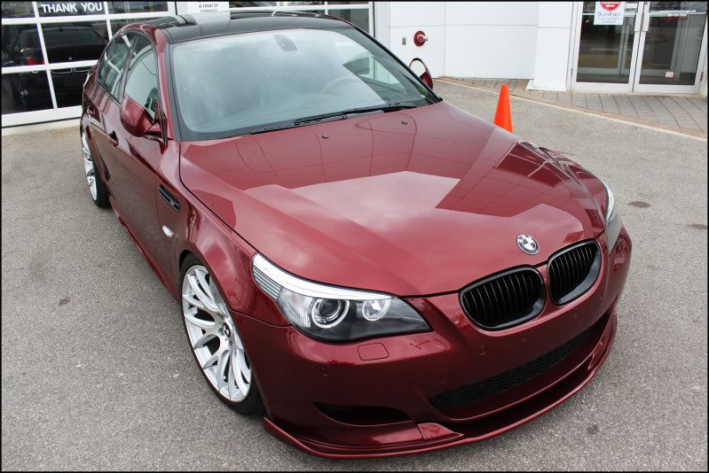 2010 BMW M5 photo