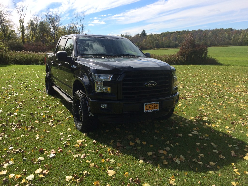 2015 Ford F-150 photo