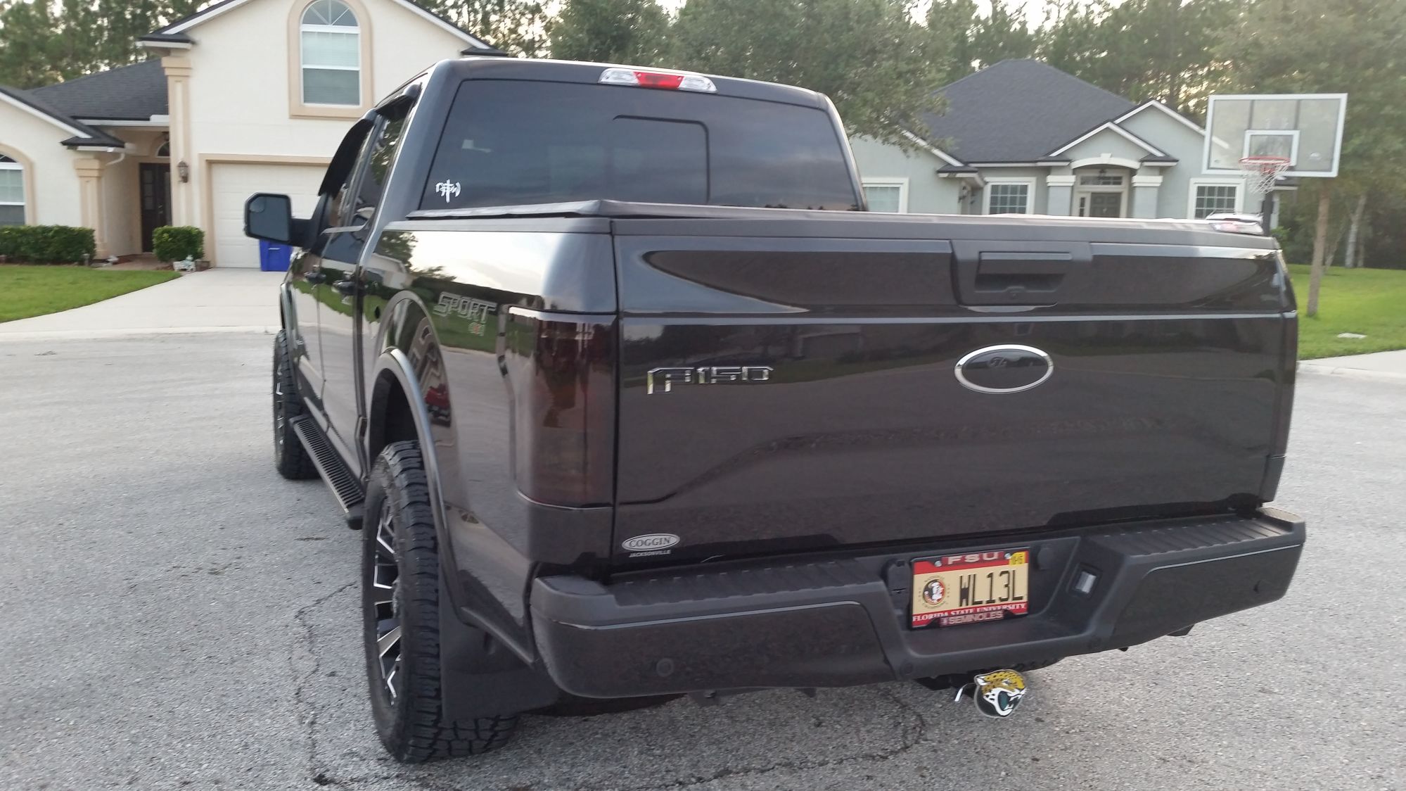 2015 Ford F-150 photo