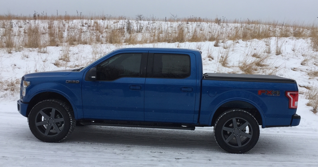 2015 Ford F-150 photo