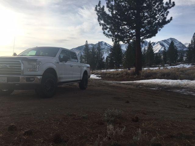 2015 Ford F-150 photo