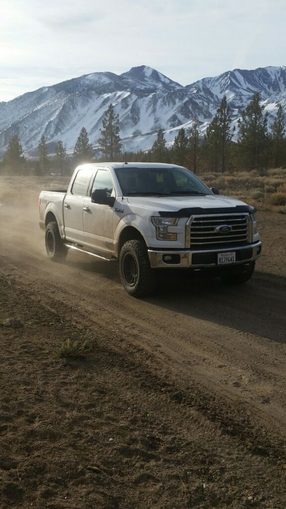 2015 Ford F-150 photo