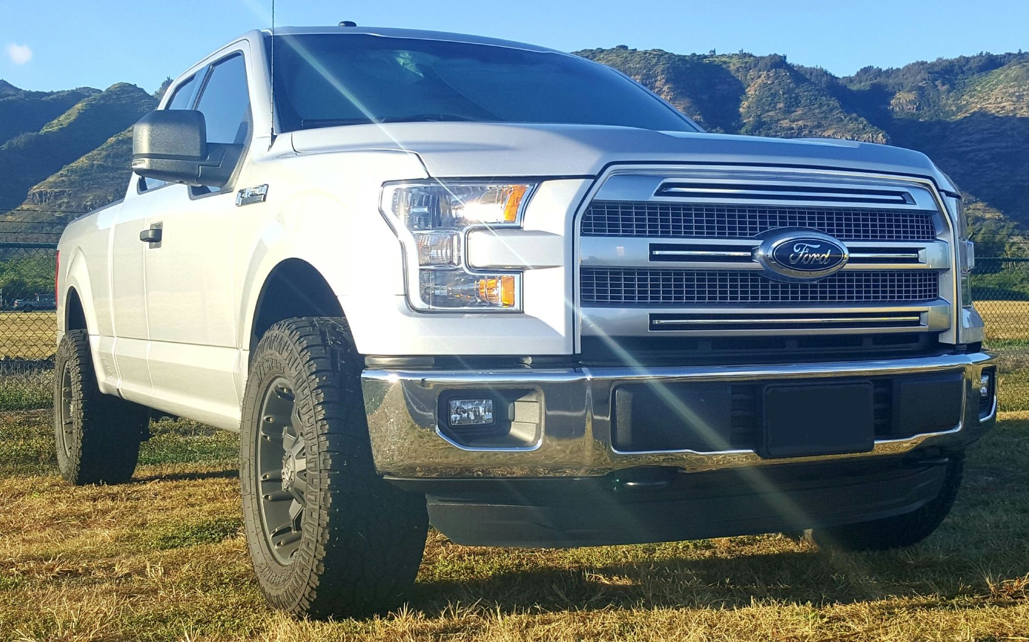 2015 Ford F-150 photo