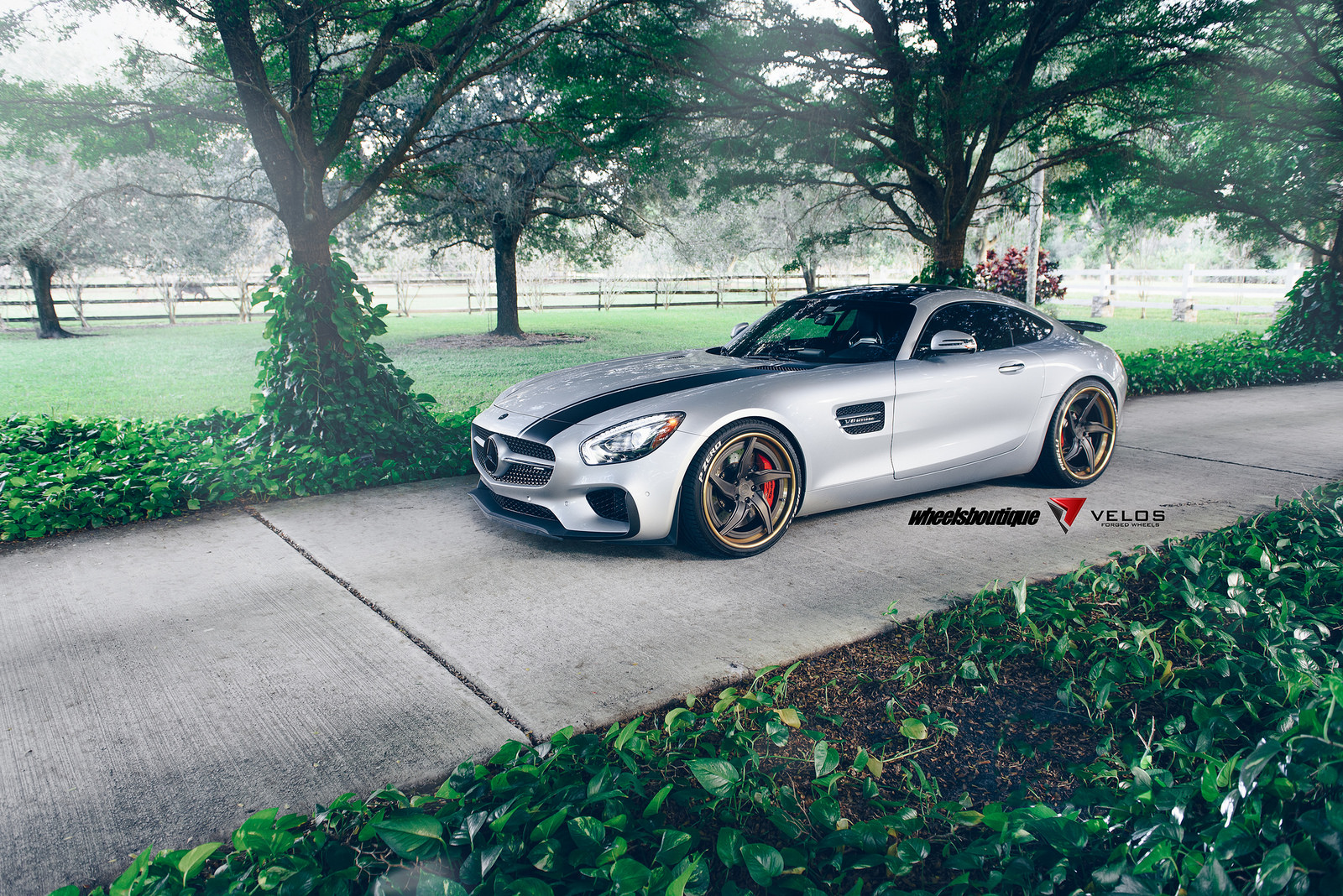 2017 Mercedes-Benz AMG GT photo