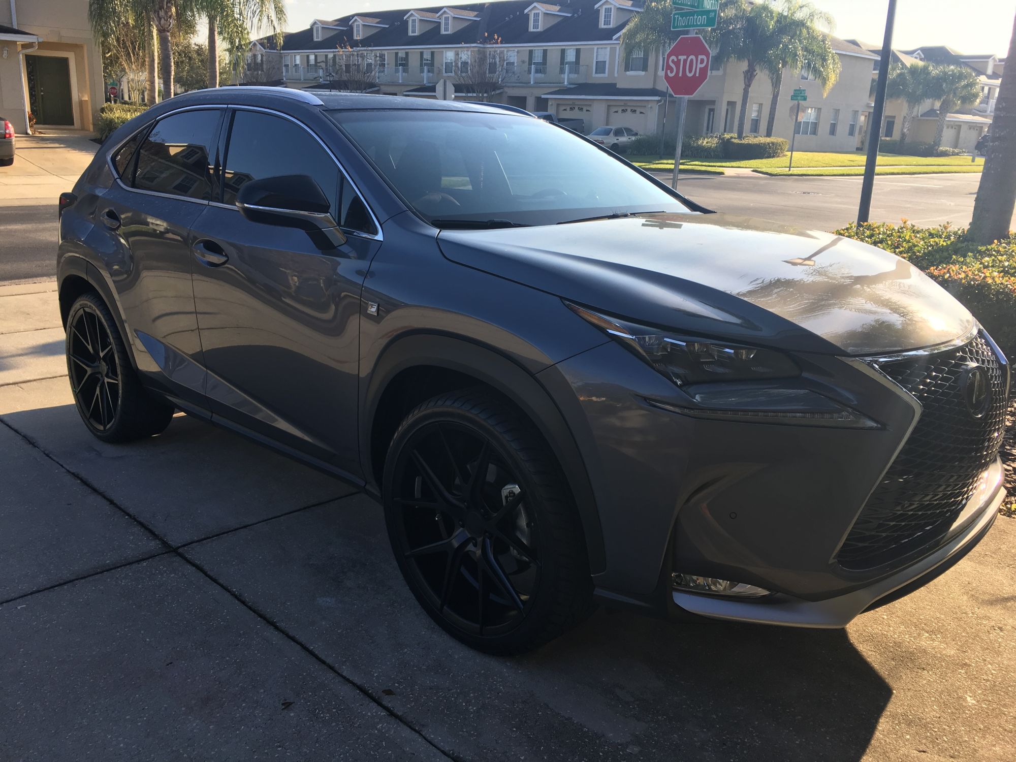 2015 Lexus NX 300h photo