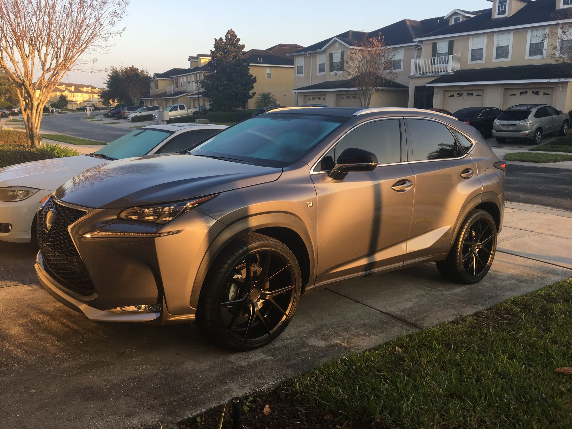 2015 Lexus NX 300h photo