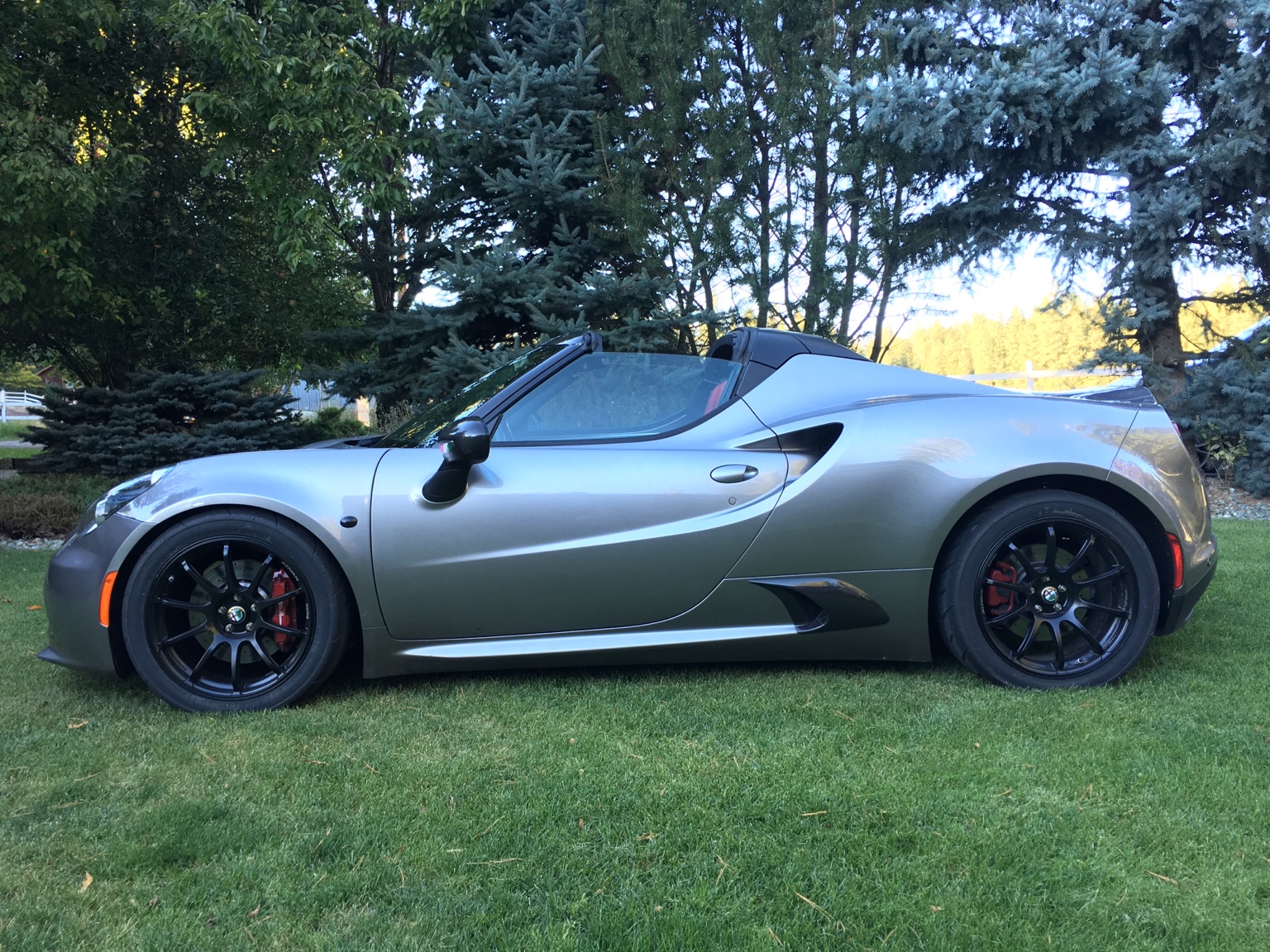 2015 Alfa Romeo 4C Spider photo