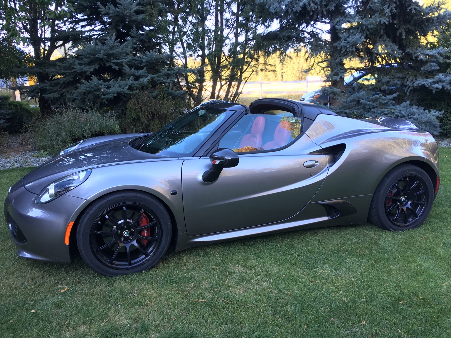 2015 Alfa Romeo 4C Spider photo