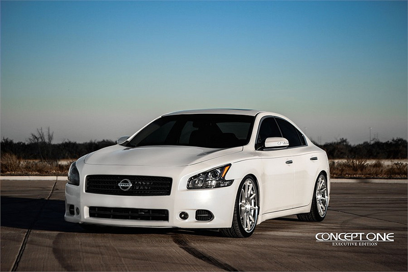 2010 Nissan Maxima photo