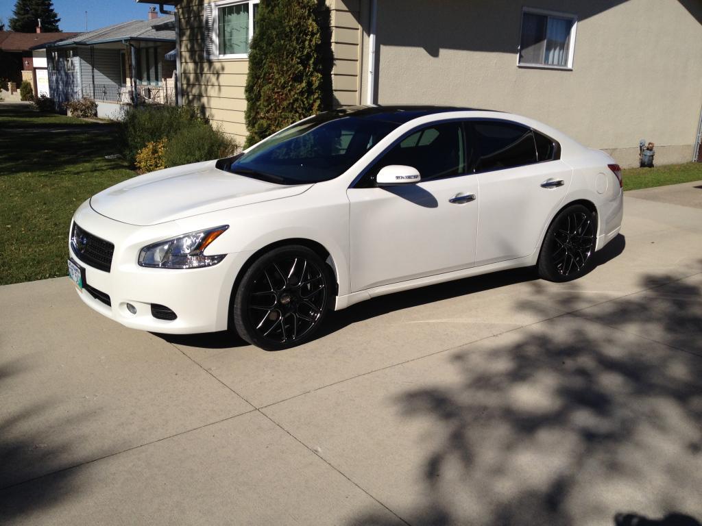 2014 Nissan Maxima photo
