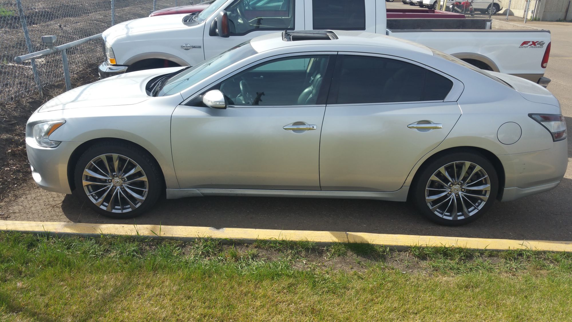 2014 Nissan Maxima photo