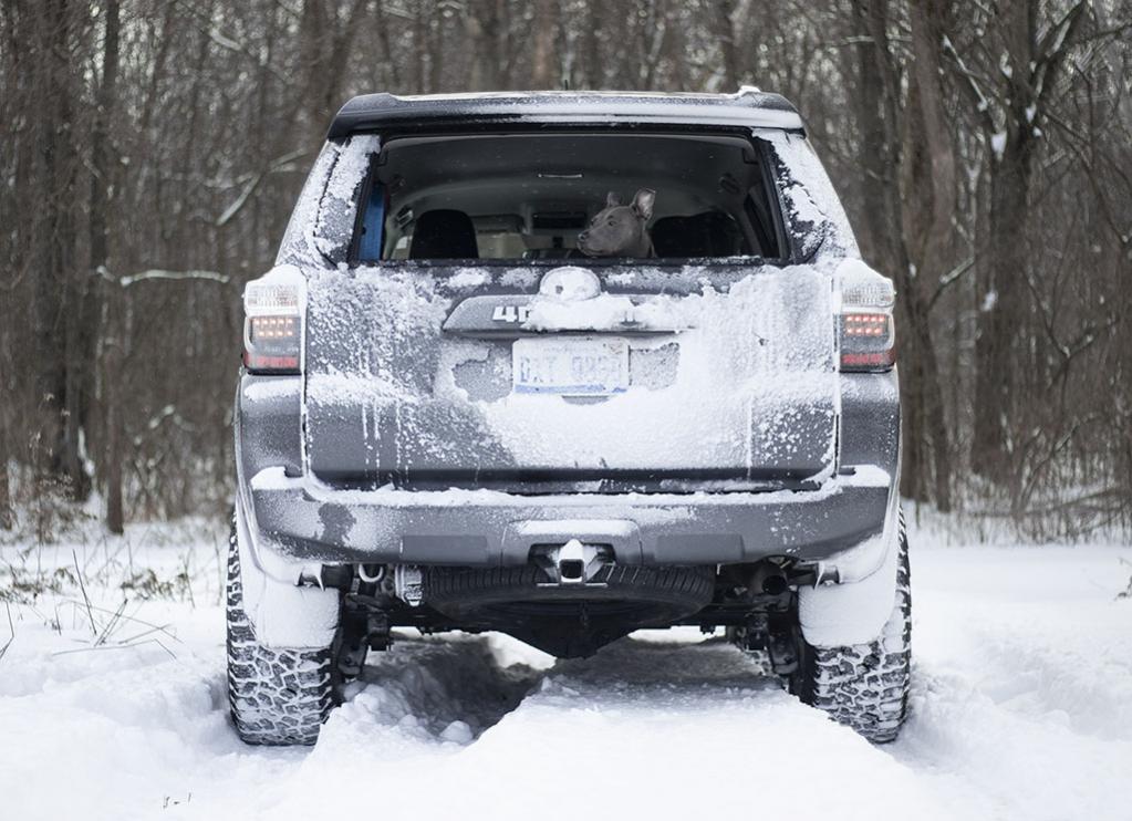 2019 Toyota 4Runner photo