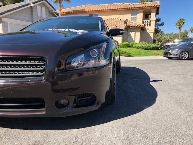 2010 Nissan Maxima photo