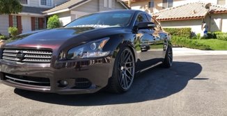 2010 Nissan Maxima photo