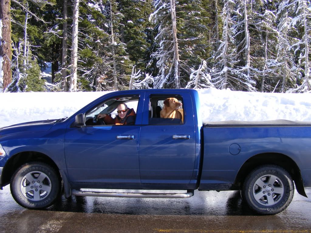 2010 Dodge Ram 1500 photo